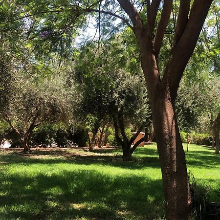 Palmeraie Village 2 - Cosi Appartement En Rez De Jardin Marrakesh Buitenkant foto