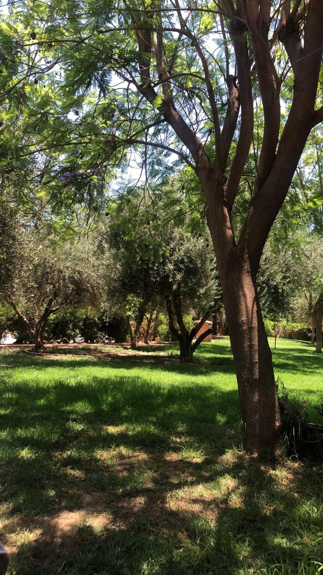 Palmeraie Village 2 - Cosi Appartement En Rez De Jardin Marrakesh Buitenkant foto